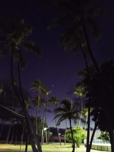 Maui Night